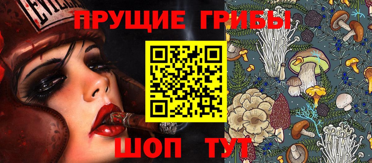 Псилоцибиновые грибы GOLDEN TEACHER Шатура